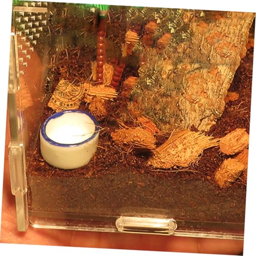WEKADRIN 24 Stück Teiliges Mini Reptilien Wassernapf Weiß Kleine Wasserschale für Spinnen Skorpione und Mini terrarientiere Vielseitige Futter Wasserschale Einfach zu Reinigen Sicher von WEKADRIN