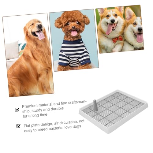 WEKADRIN Dickes Wasserdichtes Kunststoff hundetoilette tablett mit Hohem Spritzschutzsicher für Kleine Hunde für Drinnen Einfache Reinigung und Hygienisches Hundetraining von WEKADRIN