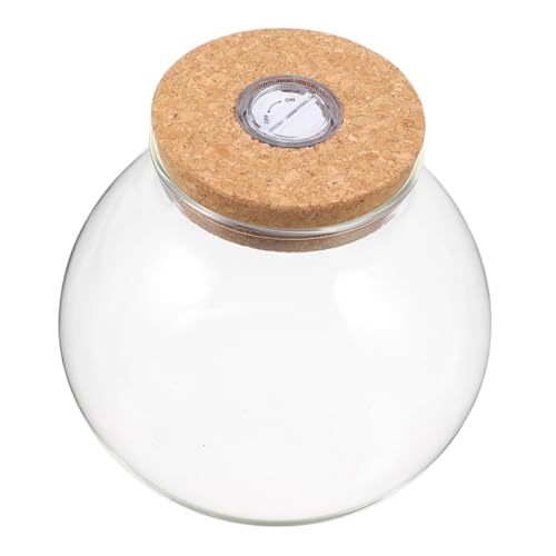 WEKADRIN Glas Hydroponik Vase mit LED Licht Rundes Terrarium mit Korkdeckel Klarglas Pflanzgefäß für Zimmerpflanzen Desktop Vermehrungsstation Dekoflasche Beleuchtung für Blumen und WEKADRIN Glas Hydroponik Vase mit LED Licht Rundes Terrarium mit Korkdeckel Klarglas Pflanzgefäß für Zimmerpflanzen Desktop Vermehrungsstation Dekoflasche Beleuchtung für Blumen und von WEKADRIN
