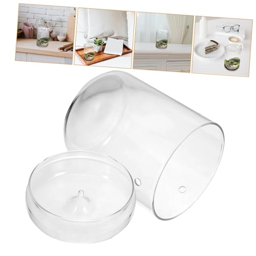 WEKADRIN Glas Terrarium Pflanzgefäß Transparentes Ökologisches Flaschenglas Tischdeko Mikro landschaftsvasen für Moos Pflanzen Zimmerdekoration von WEKADRIN