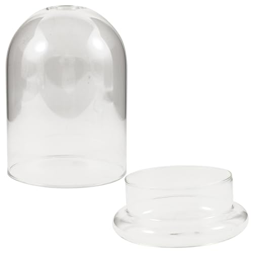WEKADRIN Glas Terrarium Vase mit Glockenform Kleines Micro Landschafts Ökoflaschenpflanzgefäß aus Klarem Glas Dekorative Tischdekoration für Wohnzimmer Büro und Hochzeit WEKADRIN Glas Terrarium Vase mit Glockenform Kleines Micro Landschafts Ökoflaschenpflanzgefäß aus Klarem Glas Dekorative Tischdekoration für Wohnzimmer Büro und Hochzeit von WEKADRIN