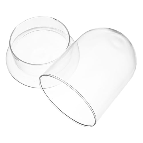 WEKADRIN Glas Terrarium mit Deckel Großes Dekoratives Ökosystem Glas Durchsichtiges Bell Jar Dome für Moos Pflanzen für DIY Micro Landschaft Stilvolle Wohn Gartendeko WEKADRIN Glas Terrarium mit Deckel Großes Dekoratives Ökosystem Glas Durchsichtiges Bell Jar Dome für Moos Pflanzen für DIY Micro Landschaft Stilvolle Wohn Gartendeko von WEKADRIN