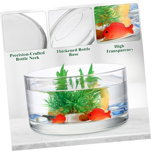 WEKADRIN Große Hydroponische Glasvase aus Klarem Glas Transparenter Pflanztopf für Wasserpflanzen Dekoratives Terrarium für Schreibtisch und Wohnraum Langlebiger Glasblumentopf von WEKADRIN