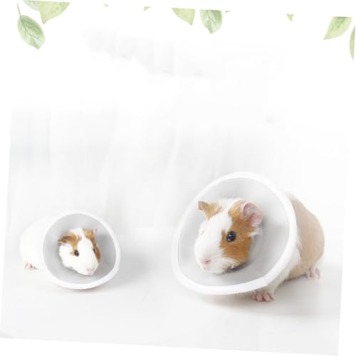 WEKADRIN Haustier Schutzkragen für Kleine Rassen Elizabeth Halsband für Meerschweinchen Verletzungspräventiv Langlebig Sicher Zufällige Farbe Komfortabel für Genesung und WEKADRIN Haustier Schutzkragen für Kleine Rassen Elizabeth Halsband für Meerschweinchen Verletzungspräventiv Langlebig Sicher Zufällige Farbe Komfortabel für Genesung und von WEKADRIN