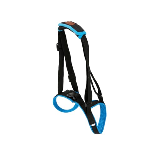 WEKADRIN Hundegeschirr für Ältere Hunde mit Beinunterstützung Atmungsaktives Leichtes Pet Support Belt aus Air Mesh Stoff rutschfeste Tragehilfe zum Treppensteigen und Gehen Blau von WEKADRIN