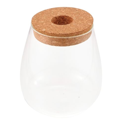 WEKADRIN Hydroponische Pflanzflasche aus Klarem Glas Ökologische Terrarienflasche mit Frischem Moos Dekorative Mikrolandschaft für Schreibtisch Langlebig und Leicht für Büro und Zuhause von WEKADRIN