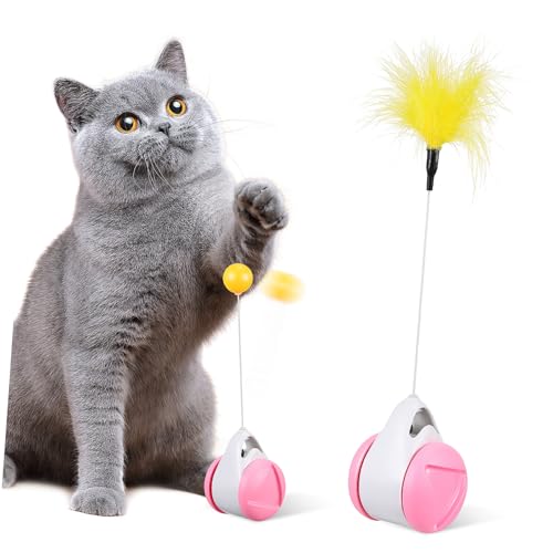 WEKADRIN Interaktives Katzenspielzeug Cat Teaser Car mit Abnehmbarem Design Sicherem Kunststoff Lustigem Spiel für Katzen und Kätzchen Vielseitig Einsetzbar für Innenräume und von WEKADRIN