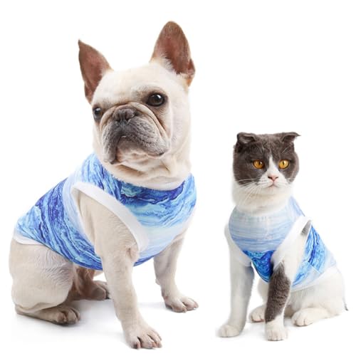 WEKADRIN Kleine Hundekühlweste aus Atmungsaktivem Material Wiederverwendbar und Waschbar Sorgt für Angenehme Abkühlung im Sommer S Leichtes Design für Mühelosen von WEKADRIN