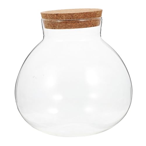 WEKADRIN Mikrolandschafts Ökoflasche Moosglas Glaspflanzgefäß Moos Landschaftsflasche Durchsichtiges Versiegeltes Glas Tischvase Luftpflanzen Terrarium Sukkulenten Terrarium von WEKADRIN