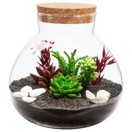WEKADRIN Ökologische Mikrolandschaftsflasche mit Korkdeckel Dekorativer Glasbehälter für DIY Miniaturgärten für Wohnzimmer Schlafzimmer und Bürogestaltung von WEKADRIN