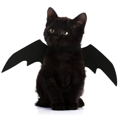 WEKADRIN Pet Halloween Kostüm Fledermaus Flügel Verstellbar Leichtes Schwarzes Filzmaterial Für Kleine Hunde Katzen Halloween Zubehör WEKADRIN Pet Halloween Kostüm Fledermaus Flügel Verstellbar Leichtes Schwarzes Filzmaterial Für Kleine Hunde Katzen Halloween Zubehör von WEKADRIN