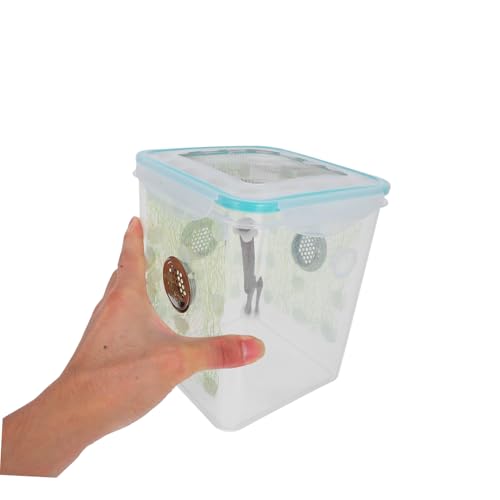 WEKADRIN Reptilien Fütterungsbox Transparent aus Robustem Kunststoff und Holz mit Atmungsaktiven Seitenlöchern Tragbarer Terrarium Lebensraum für Spinnen Gottesanbeterin Gecko und Kleine von WEKADRIN