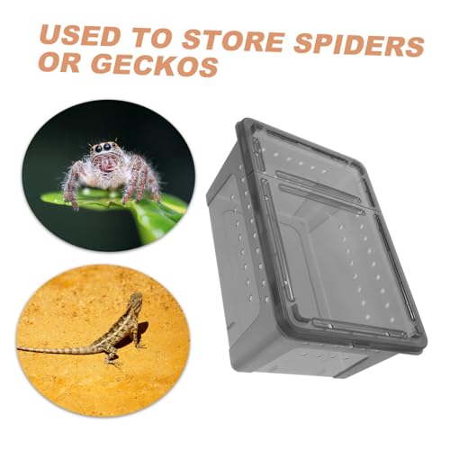WEKADRIN Reptilien Futterbox aus Transparente Wiederverwendbare Aufzuchtbox für Spinnen und Kleine Wirbellose Leicht Robust Belüftet für Terrarien und Zuchtzwecke WEKADRIN Reptilien Futterbox aus Transparente Wiederverwendbare Aufzuchtbox für Spinnen und Kleine Wirbellose Leicht Robust Belüftet für Terrarien und Zuchtzwecke von WEKADRIN