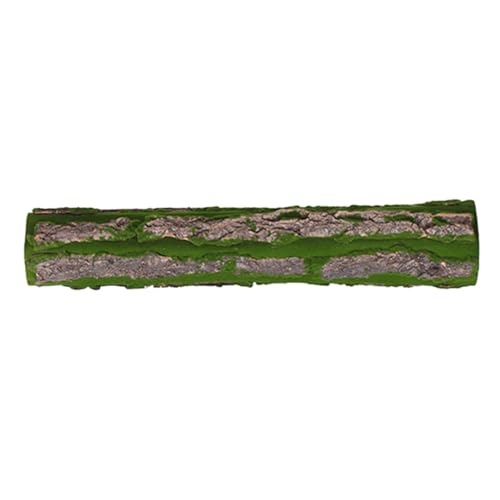 WEKADRIN Reptilien Klettermatte aus Natürlicher Korkrinde Langlebiger Terrarium Hintergrund für Schildkröten Eidechsen Schlangen Vielseitige Dekoration und Kletterplattform von WEKADRIN