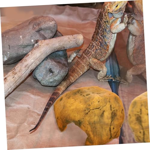 WEKADRIN Resin Reptilien Versteck Höhle Kleines Terrarium Versteck für Echsen Schildkröten und Amphibien Sichere und Leicht Reinigbare Basking Plattform für Wasserschildkröten und von WEKADRIN