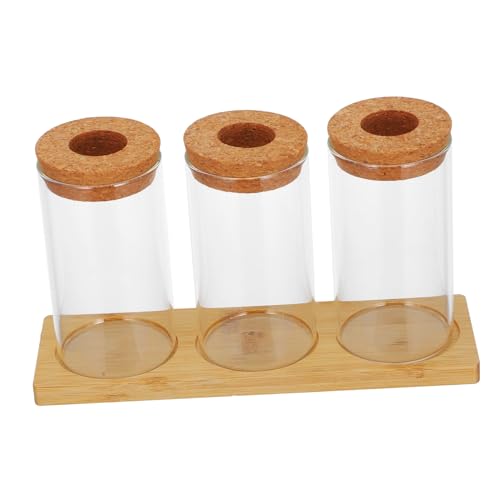 WEKADRIN Teiliges Hydroponik Glasvase für Wasserpflanzen Terrarium Glas Behälter Kompakte Desktop Pflanzen Anzuchtstation Vielseitige Dekoration für Büro und Zuhause WEKADRIN Teiliges Hydroponik Glasvase für Wasserpflanzen Terrarium Glas Behälter Kompakte Desktop Pflanzen Anzuchtstation Vielseitige Dekoration für Büro und Zuhause von WEKADRIN