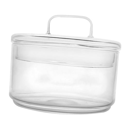 WEKADRIN Terrarium Glasflasche mit Deckel Transparente Pflanzflasche für DIY Mini Landschaften Moos Terrarium Dekoratives Glasgefäß für Zimmerpflanzen Wohnzimmer Büro Balkon WEKADRIN Terrarium Glasflasche mit Deckel Transparente Pflanzflasche für DIY Mini Landschaften Moos Terrarium Dekoratives Glasgefäß für Zimmerpflanzen Wohnzimmer Büro Balkon von WEKADRIN