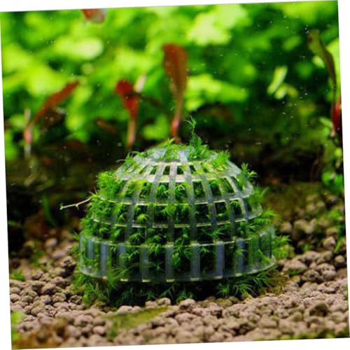 WEKADRIN Transparente Aquarium dekokugel mit Mineralbällen Filtermaterialhalter und Wasserpflanzenhalter für Garnelen Einfache Installation Wasserreinigung Geeignet für Garnelenzylinder von WEKADRIN