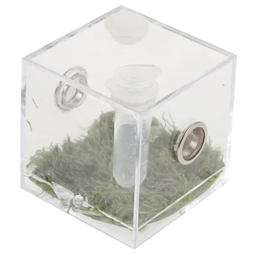 WEKADRIN Transparente Aufzuchtbox für Kleine Springspinnen mit Belüftungslöchern Leichtes Kunststoff Terrarium für Insekten und Reptilien Praktisches Futtergehäuse Einfach zu Beobachten WEKADRIN Transparente Aufzuchtbox für Kleine Springspinnen mit Belüftungslöchern Leichtes Kunststoff Terrarium für Insekten und Reptilien Praktisches Futtergehäuse Einfach zu Beobachten von WEKADRIN