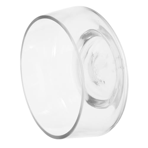 WEKADRIN Transparente Glasvase Terrarium Glas Pflanzgefäß für Sukkulenten und Moos Mikrolandschaften Hydroponik Innenbereich Dekorative Vase für Zuhause Tischmittelstück WEKADRIN Transparente Glasvase Terrarium Glas Pflanzgefäß für Sukkulenten und Moos Mikrolandschaften Hydroponik Innenbereich Dekorative Vase für Zuhause Tischmittelstück von WEKADRIN