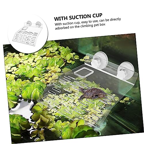WEKADRIN Transparente Große Schildkrötenplattform mit Saugnäpfen Aquariumdekoration Reptilienfreundliche Terrasse für Schildkröten Wasserschildkröten und Aquatische Tiere WEKADRIN Transparente Große Schildkrötenplattform mit Saugnäpfen Aquariumdekoration Reptilienfreundliche Terrasse für Schildkröten Wasserschildkröten und Aquatische Tiere von WEKADRIN