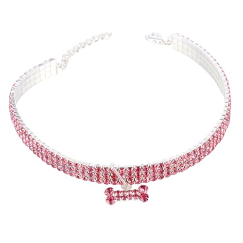 WEKADRIN Wasserfester Hundehalsband mit Funkelnden Strasssteinen Verstellbarem Verschluss und Kettenanhänger Modisches Accessoire für Kleine bis Mittelgroße Hunde WEKADRIN Wasserfester Hundehalsband mit Funkelnden Strasssteinen Verstellbarem Verschluss und Kettenanhänger Modisches Accessoire für Kleine bis Mittelgroße Hunde von WEKADRIN