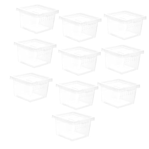 WEKAMOS 10 Stück Teiliges Transparentes Reptil Transport und Zuchtbox aus Robustem Kunststoff Praktische Habitat Inkubator Terrarien für Spinnen Bartagamen Geckos und Kleine Reptilien WEKAMOS 10 Stück Teiliges Transparentes Reptil Transport und Zuchtbox aus Robustem Kunststoff Praktische Habitat Inkubator Terrarien für Spinnen Bartagamen Geckos und Kleine Reptilien von WEKAMOS
