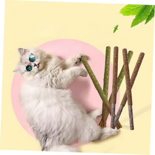 WEKAMOS 12 Stück Teiliges Katzensnack mit Essbaren Katzenleckstangen aus Katzenminze und zur Zahnpflege Stressabbau und Unterhaltung für Katzen zu Hause Geschäft WEKAMOS 12 Stück Teiliges Katzensnack mit Essbaren Katzenleckstangen aus Katzenminze und zur Zahnpflege Stressabbau und Unterhaltung für Katzen zu Hause Geschäft von WEKAMOS