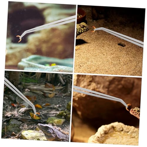 WEKAMOS 2 Stück Edelstahl Fütterungspinzette mit Geradem und Gebogenem Kopf Lange Reptilien Pinzette für Terrarien rutschfest Komfortabler Griff für Aquarium und Terrarienfütterung von WEKAMOS