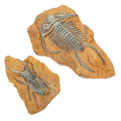 WEKAMOS 2 Stück Kreative Terrarium Dekoration aus Geruchlosem Robustem Harz mit Realistischen Trilobiten Fossilien für Schlangen Echsen und Kleine Reptilien Stabile Kippsichere WEKAMOS 2 Stück Kreative Terrarium Dekoration aus Geruchlosem Robustem Harz mit Realistischen Trilobiten Fossilien für Schlangen Echsen und Kleine Reptilien Stabile Kippsichere von WEKAMOS