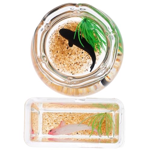 WEKAMOS 2 Stück Miniatur Fischglas Deko Teiliges Glas Acryl Mini Aquarium Puppenhaus Zubehör Realistisches Koi Fischbecken Langlebig Einfache Handhabung Miniatur Zufällige Farbe von WEKAMOS