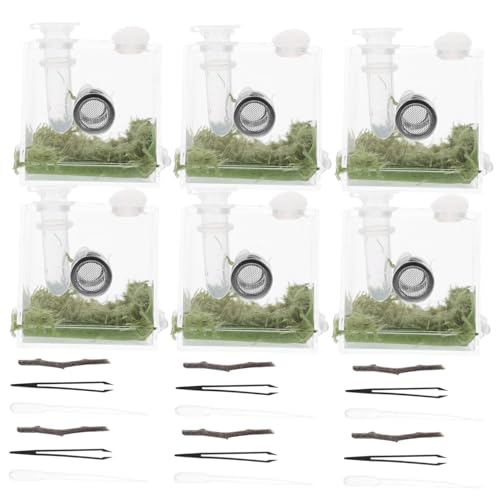 WEKAMOS 2Sätze Springspinne Zuchtbox aus Teiliges Transparente Insektenbox für Spinnen und Reptilien Langlebig Robust für Terrarien und Sichere Haltung von Haustieren WEKAMOS 2Sätze Springspinne Zuchtbox aus Teiliges Transparente Insektenbox für Spinnen und Reptilien Langlebig Robust für Terrarien und Sichere Haltung von Haustieren von WEKAMOS
