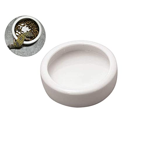 WEKAMOS Crawler Pet Futter Schale aus Multifunktionale Futterstation für Garnelen Fische und Reptilien für Aquarien und Terrarien WEKAMOS Crawler Pet Futter Schale aus Multifunktionale Futterstation für Garnelen Fische und Reptilien für Aquarien und Terrarien von WEKAMOS