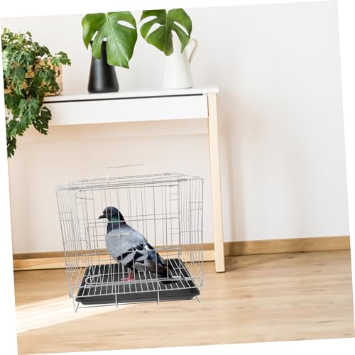 WEKAMOS Großer Vogelkäfig aus mit Extra Sicherer Zuchtkäfig für Haus Tauben und Wellensittiche mit Herausnehmbarem Tablett für Vogelhaltung und Zucht zu Hause WEKAMOS Großer Vogelkäfig aus mit Extra Sicherer Zuchtkäfig für Haus Tauben und Wellensittiche mit Herausnehmbarem Tablett für Vogelhaltung und Zucht zu Hause von WEKAMOS