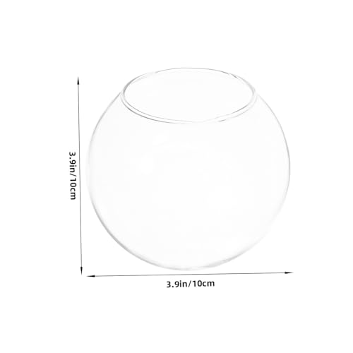 WEKAMOS Hamster Glasnest Kleines Kühlendes Haustierhaus für Hamster und Kleine Nager Transparentes Schlafnest für Meerschweinchen und Igel Terrarium Zubehör von WEKAMOS
