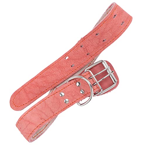 WEKAMOS Hautfreundliches Hundehalsband Breit Strapazierfähiges Welpen Halsband mit Retro Design Verstellbar Modisches Haustierzubehör für Kleine und Große Hunde für und Partys WEKAMOS Hautfreundliches Hundehalsband Breit Strapazierfähiges Welpen Halsband mit Retro Design Verstellbar Modisches Haustierzubehör für Kleine und Große Hunde für und Partys von WEKAMOS