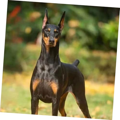 WEKAMOS Hundeohr Stütze Aufkleber Vertikaler Ohrhalter für Welpen Selbstklebendes Ohrkorrektur Tool zur Natürlichen Ohraufstellung Bequem Klebstoff Geeignet für Dobermann und Shiba Inu von WEKAMOS