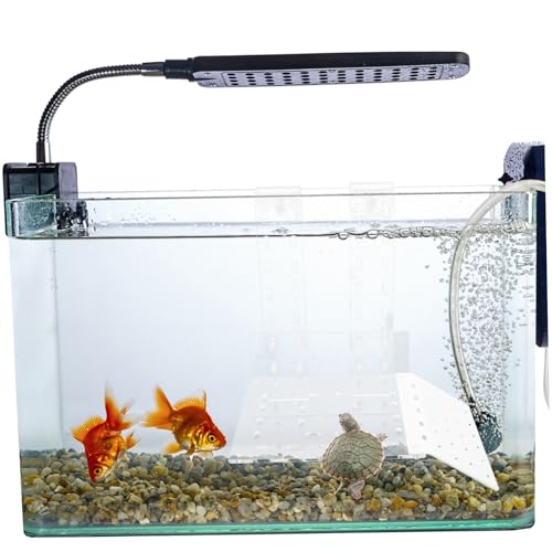 WEKAMOS Klare Kunststoff Schildkröten Sonnenplattform für Aquarium Reptilien Kletterterrasse mit Wandhalterung Robustes Terrarium Zubehör für Wasserschildkröten Fitness und Dekoration WEKAMOS Klare Kunststoff Schildkröten Sonnenplattform für Aquarium Reptilien Kletterterrasse mit Wandhalterung Robustes Terrarium Zubehör für Wasserschildkröten Fitness und Dekoration von WEKAMOS