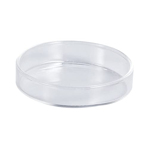 WEKAMOS Klarglas Garnelenfutter Schale Multifunktionale Futterstelle für Aquarien für Garnelen Fische und Reptilien aus Robustem Kristallglas Schwimmendes Design WEKAMOS Klarglas Garnelenfutter Schale Multifunktionale Futterstelle für Aquarien für Garnelen Fische und Reptilien aus Robustem Kristallglas Schwimmendes Design von WEKAMOS