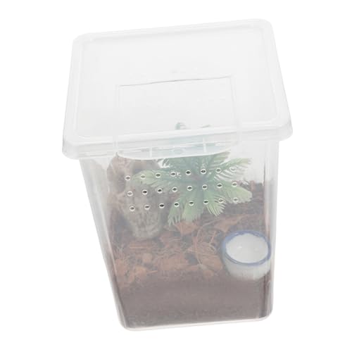 WEKAMOS Kleines Spinnengehege aus Kunststoff Transparente Zuchtbox für Springspinnen und Kleine Haustiere für Zuhause und Büro Sichere Umgebung für Optimale Pflege von WEKAMOS