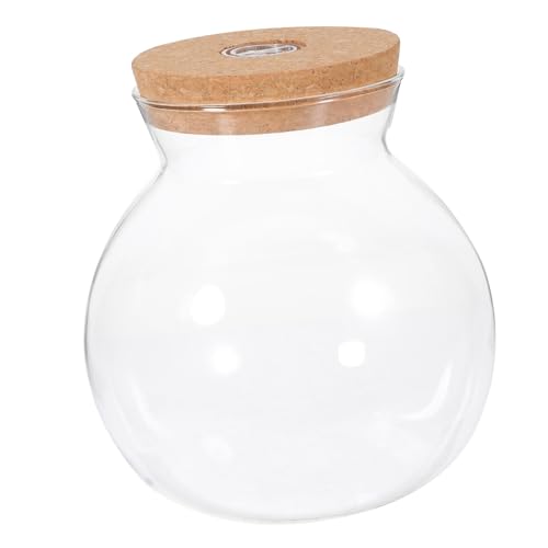 WEKAMOS LED Glasflasche mit Licht Praktische Ökologische Flasche für DIY Mikrolandschaft und Terrarium mit LED Beleuchtung für Kreative Dekoration für Fischtank und Pflanzen WEKAMOS LED Glasflasche mit Licht Praktische Ökologische Flasche für DIY Mikrolandschaft und Terrarium mit LED Beleuchtung für Kreative Dekoration für Fischtank und Pflanzen von WEKAMOS