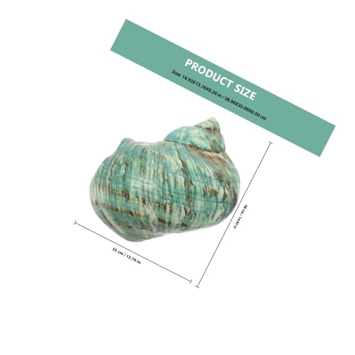 WEKAMOS Natürliche Grüne Meeresschnecke Große Muschel Aquarium Dekoration Umweltfreundlich Sicher für Fische als Deko und Bastelmaterial für Aquarium Gestaltung von WEKAMOS