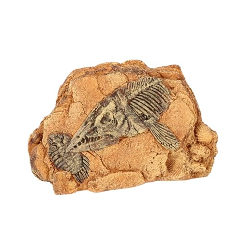 WEKAMOS Reptilien Versteck für Terrarium Baumaterial aus Harz für Eidechsen Schildkröten und Andere Reptilien eine Natürliche Umgebung und Stress WEKAMOS Reptilien Versteck für Terrarium Baumaterial aus Harz für Eidechsen Schildkröten und Andere Reptilien eine Natürliche Umgebung und Stress von WEKAMOS