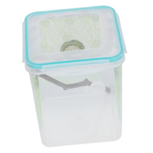 WEKAMOS Reptilien Zuchtbox Transparent Terrarium für Gottesanbeterin und Spinnen Kleine Fütterungsbox mit Klarem Design zur Beobachtung von Insekten und Reptilien Tragbarer von WEKAMOS