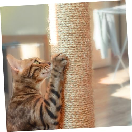 WEKAMOS Sisal Seil für DIY Kratzbaum Natürliches Strapazierfähiges Kratzbaumseil Zuschneidbar für Katzenmöbel und Kratzposten Vielseitig für Möbel und Katzenbaumdekoration WEKAMOS Sisal Seil für DIY Kratzbaum Natürliches Strapazierfähiges Kratzbaumseil Zuschneidbar für Katzenmöbel und Kratzposten Vielseitig für Möbel und Katzenbaumdekoration von WEKAMOS