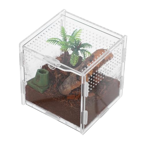 WEKAMOS Spinnenbox Für Haustiere Terrarium Kleines Eidechsenbecken Schildkrötengehege Reptilienbecken Für Den Innenbereich Spinnengehege Käfig Für Springspinnen Chamäleongehege von WEKAMOS