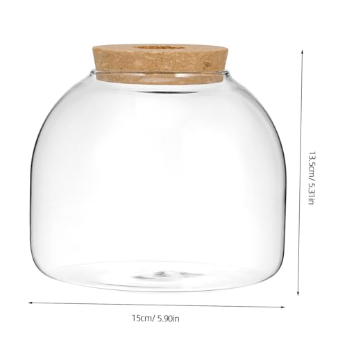 WEKAMOS Terrarium mit Holzstopfen Mikrolandschaft Behälter für Hydrokulturpflanzen Dekoratives Glasgefäß für Moos für Wohnzimmer Büro und Schreibtischgestaltung von WEKAMOS