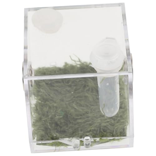 WEKAMOS Transparente Jumping Spider Aufzuchtbox Reptilienzuchtbox für Kleine Tiere Leichte Fütterungsbox mit Belüftungsöffnungen Insektenhabitat für Spinnen Geckos und Schnecken Nicht WEKAMOS Transparente Jumping Spider Aufzuchtbox Reptilienzuchtbox für Kleine Tiere Leichte Fütterungsbox mit Belüftungsöffnungen Insektenhabitat für Spinnen Geckos und Schnecken Nicht von WEKAMOS