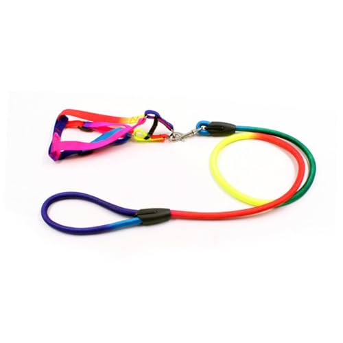 WEKAMOS Verstellbare Hundeleine und Zuggeschirr aus Strapazierfähigem Nylon Regenbogenfarbene Welpenleine für Kleine Hunde Komfortabel und Modisch für Haustier von WEKAMOS
