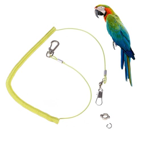 WEKAMOS Verstellbare Papageien Leine Trainingsseil aus Elastischem Bissfestem Metall Draht mit Nr Krallenring für Vogelflug Outdoor Aktivitäten Geeignet für Wellensittiche Zufällige Farbe von WEKAMOS